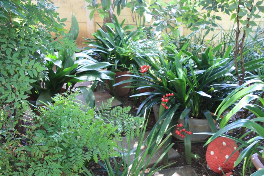 4 Bedroom Property for Sale in Fichardt Park Free State